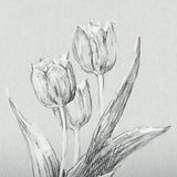 Botanical sketches I (Grey) by Mercana Studio Hand Embellished Framed Art Print Matted under Glass by Mercana at Eve Furniture