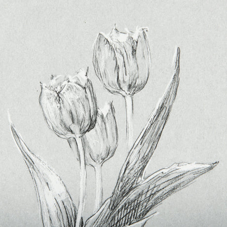 Botanical sketches I (Grey) by Mercana Studio Hand Embellished Framed Art Print Matted under Glass by Mercana at Eve Furniture