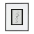 Botanical sketches I (Grey) by Mercana Studio Hand Embellished Framed Art Print Matted under Glass by Mercana at Eve Furniture