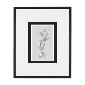 Botanical sketches I (Grey) by Mercana Studio Hand Embellished Framed Art Print Matted under Glass by Mercana at Eve Furniture