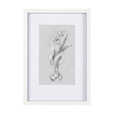 Botanical sketches I (Grey) by Mercana Studio Hand Embellished Framed Art Print Matted under Glass by Mercana at Eve Furniture