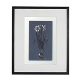 Botanical sketches II (Blue) by Mercana Studio Hand Embellished Framed Art Print Matted under Glass by Mercana at Eve Furniture