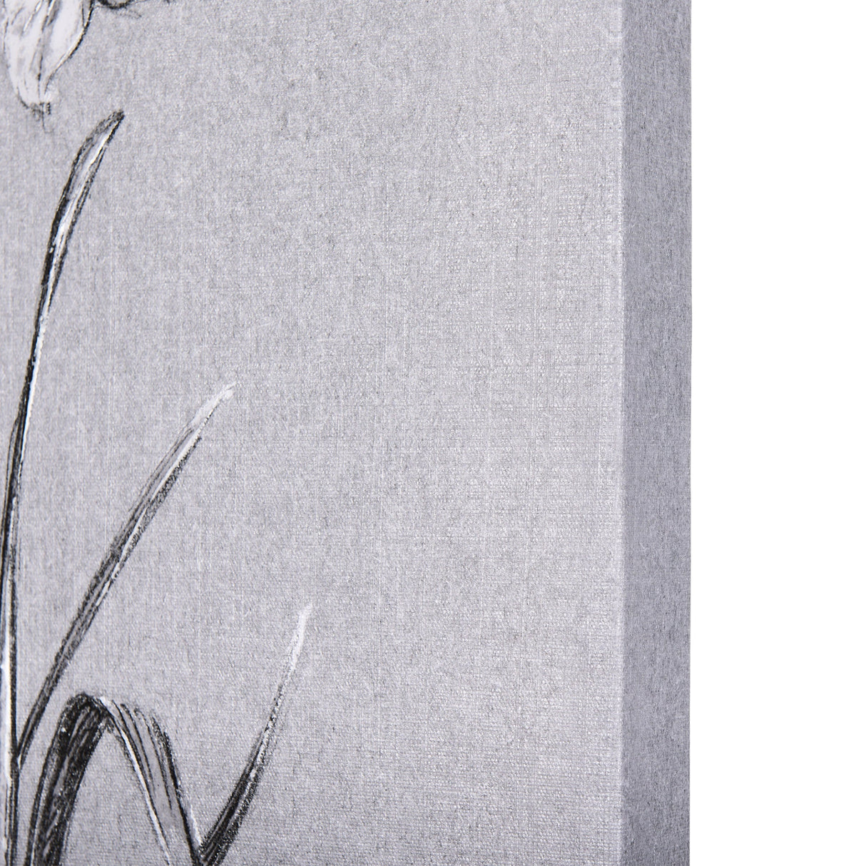 Botanical sketches II (Grey) by Mercana Studio a Hand Embellished Textured Canvas by Mercana at Eve Furniture