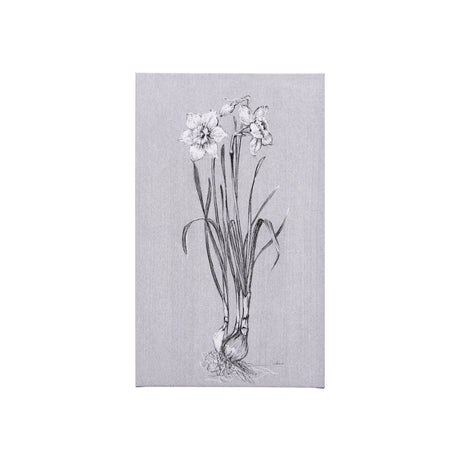 Botanical sketches II (Grey) by Mercana Studio a Hand Embellished Textured Canvas by Mercana at Eve Furniture