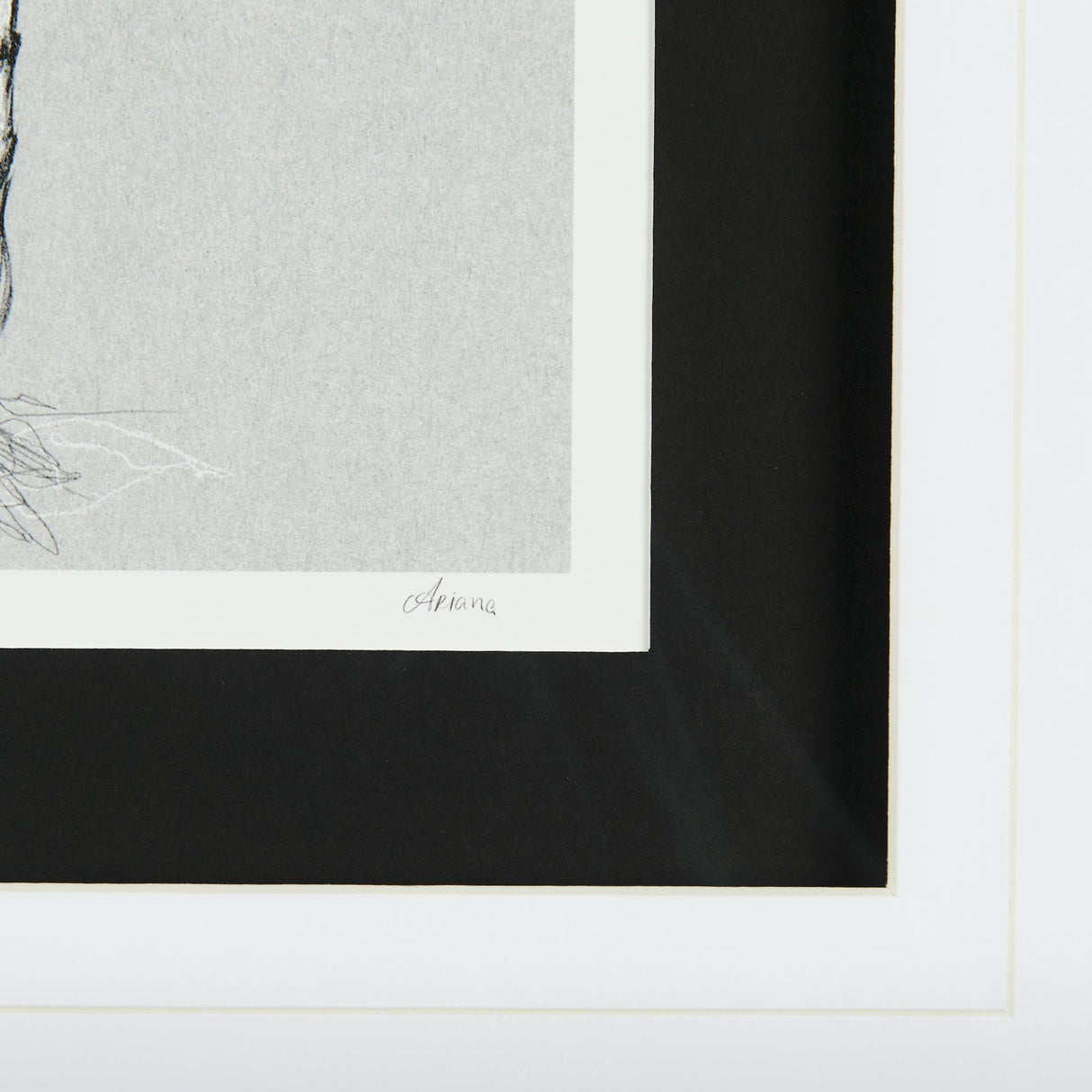 Botanical sketches II (Grey) by Mercana Studio Hand Embellished Framed Art Print Matted under Glass by Mercana at Eve Furniture