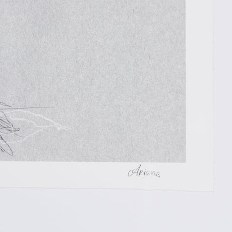 Botanical sketches II (Grey) by Mercana Studio Hand Embellished Framed Art Print Matted under Glass by Mercana at Eve Furniture