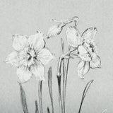Botanical sketches II (Grey) by Mercana Studio Hand Embellished Framed Art Print Matted under Glass by Mercana at Eve Furniture