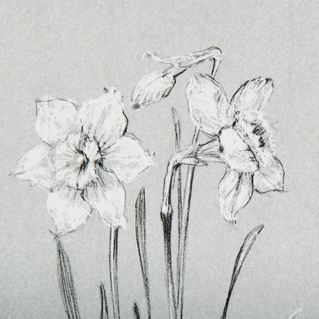 Botanical sketches II (Grey) by Mercana Studio Hand Embellished Framed Art Print Matted under Glass by Mercana at Eve Furniture