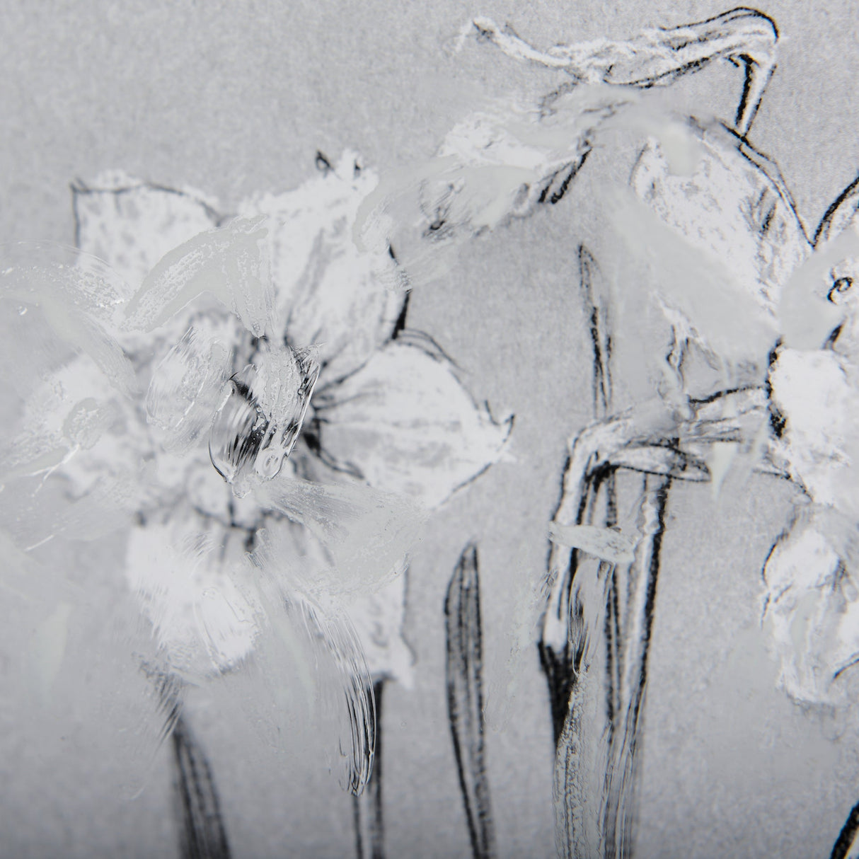 Botanical sketches II (Grey) by Mercana Studio Hand Embellished Framed Art Print Matted under Glass by Mercana at Eve Furniture