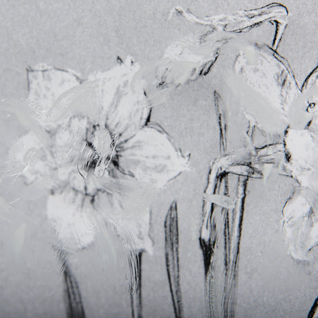 Botanical sketches II (Grey) by Mercana Studio Hand Embellished Framed Art Print Matted under Glass by Mercana at Eve Furniture