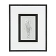 Botanical sketches II (Grey) by Mercana Studio Hand Embellished Framed Art Print Matted under Glass by Mercana at Eve Furniture