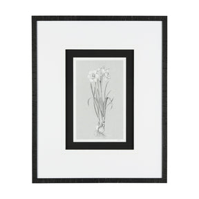 Botanical sketches II (Grey) by Mercana Studio Hand Embellished Framed Art Print Matted under Glass by Mercana at Eve Furniture