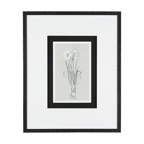 Botanical sketches II (Grey) by Mercana Studio Hand Embellished Framed Art Print Matted under Glass by Mercana at Eve Furniture
