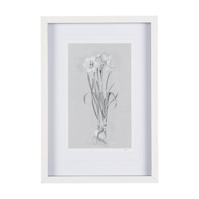 Botanical sketches II (Grey) by Mercana Studio Hand Embellished Framed Art Print Matted under Glass by Mercana at Eve Furniture