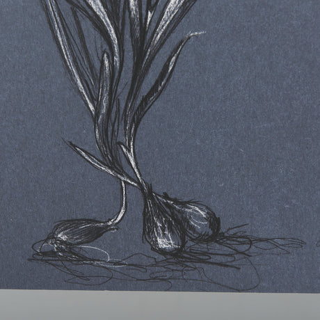 Botanical sketches III (Blue) by Mercana Studio Hand Embellished Framed Art Print Matted under Glass by Mercana at Eve Furniture
