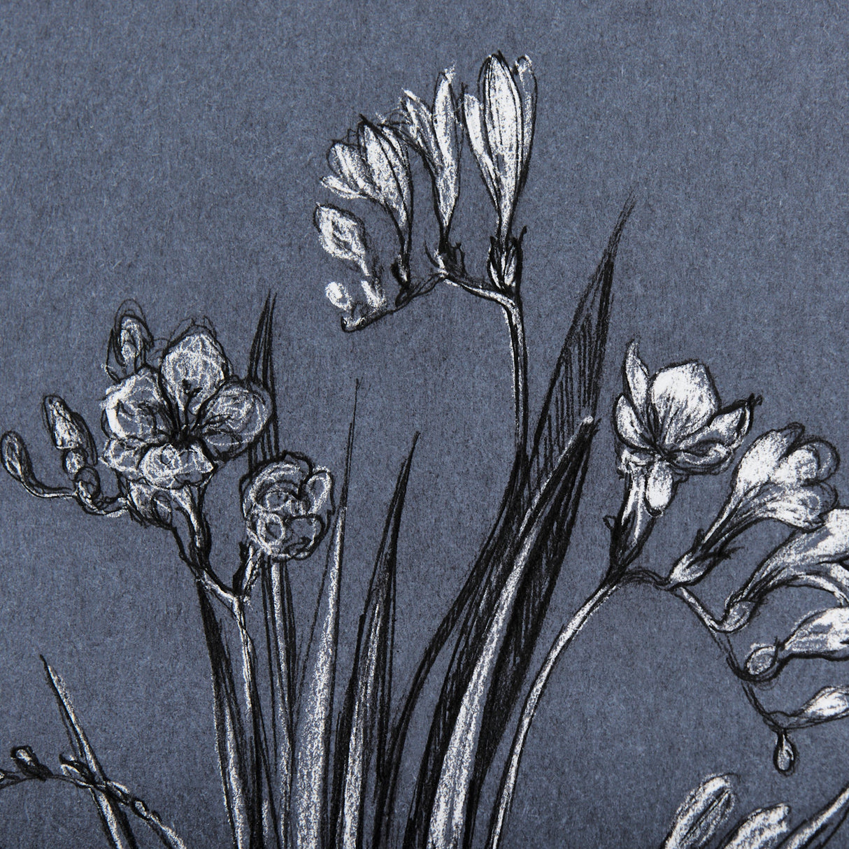 Botanical sketches III (Blue) by Mercana Studio Hand Embellished Framed Art Print Matted under Glass by Mercana at Eve Furniture