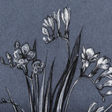 Botanical sketches III (Blue) by Mercana Studio Hand Embellished Framed Art Print Matted under Glass by Mercana at Eve Furniture