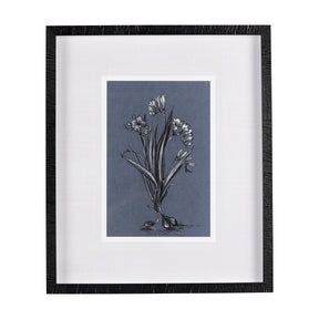 Botanical sketches III (Blue) by Mercana Studio Hand Embellished Framed Art Print Matted under Glass by Mercana at Eve Furniture