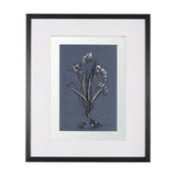 Botanical sketches III (Blue) by Mercana Studio Hand Embellished Framed Art Print Matted under Glass by Mercana at Eve Furniture