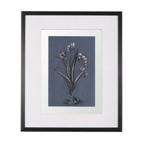 Botanical sketches III (Blue) by Mercana Studio Hand Embellished Framed Art Print Matted under Glass by Mercana at Eve Furniture
