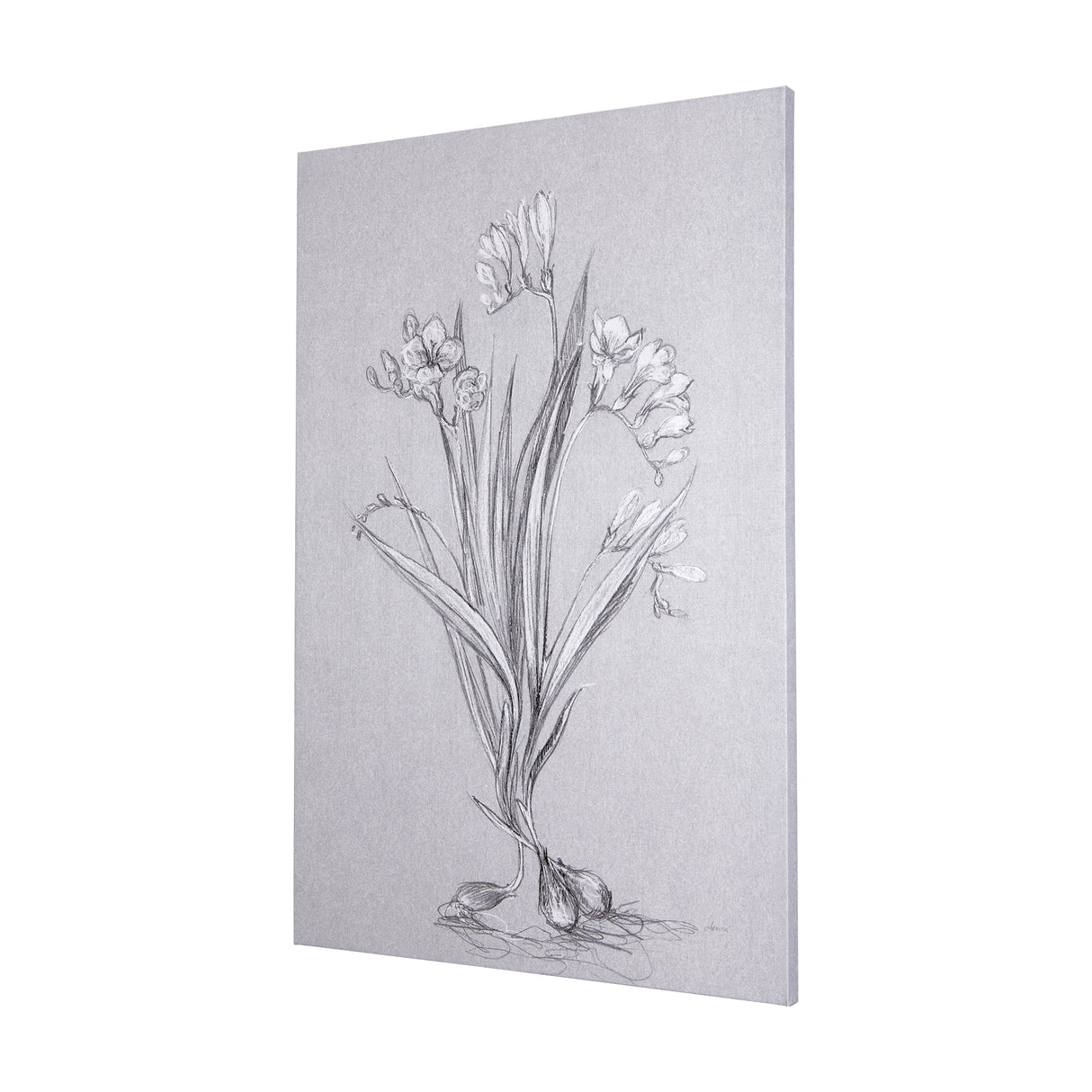 Botanical sketches III (Grey) by Mercana Studio a Hand Embellished Textured Canvas by Mercana at Eve Furniture