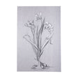 Botanical sketches III (Grey) by Mercana Studio a Hand Embellished Textured Canvas by Mercana at Eve Furniture