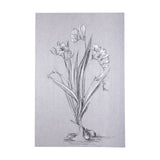 Botanical sketches III (Grey) by Mercana Studio a Hand Embellished Textured Canvas by Mercana at Eve Furniture