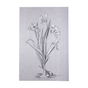 Botanical sketches III (Grey) by Mercana Studio a Hand Embellished Textured Canvas by Mercana at Eve Furniture