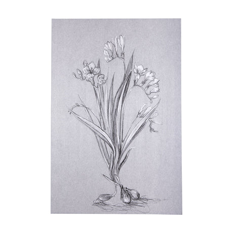 Botanical sketches III (Grey) by Mercana Studio a Hand Embellished Textured Canvas by Mercana at Eve Furniture