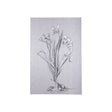 Botanical sketches III (Grey) by Mercana Studio a Hand Embellished Textured Canvas by Mercana at Eve Furniture