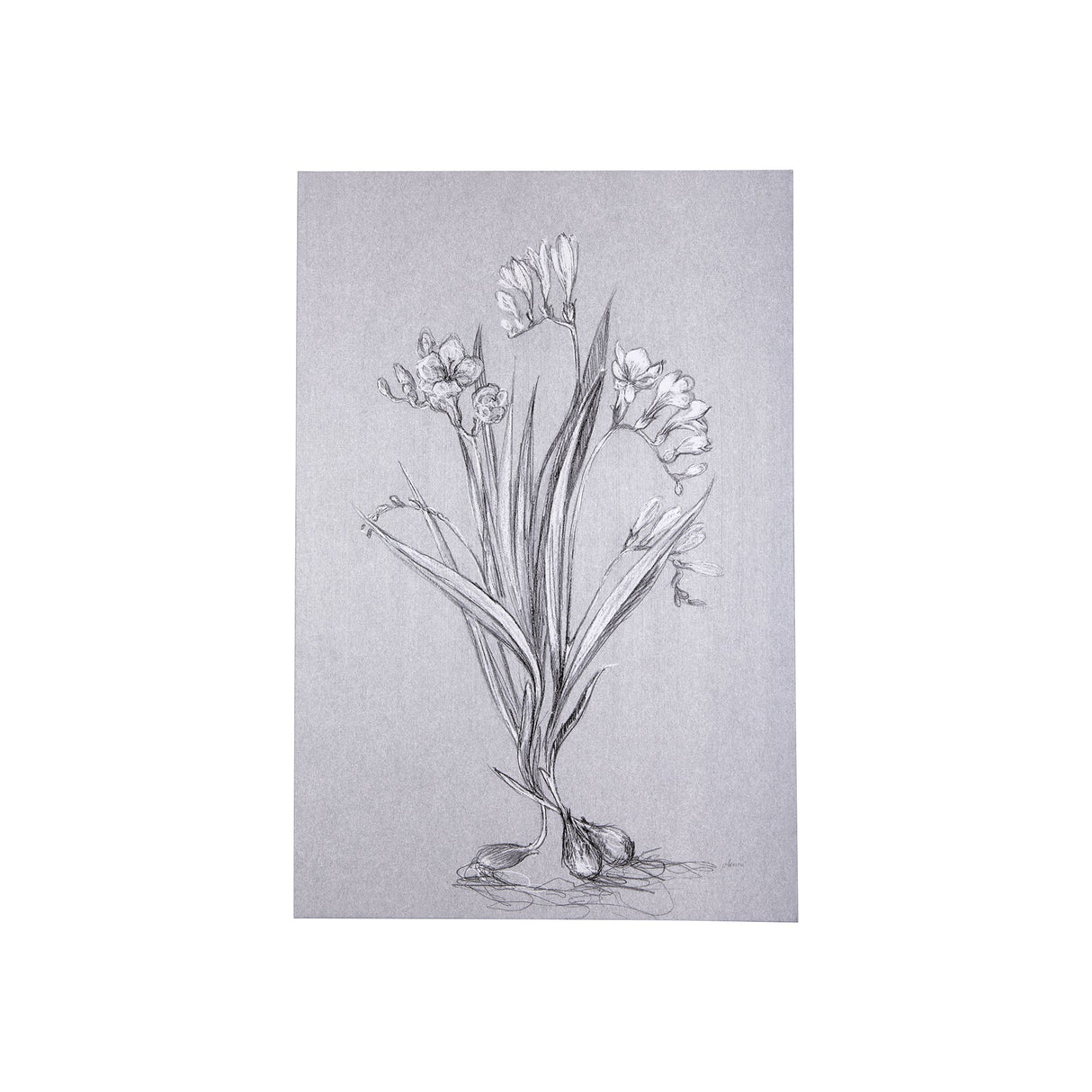 Botanical sketches III (Grey) by Mercana Studio a Hand Embellished Textured Canvas by Mercana at Eve Furniture
