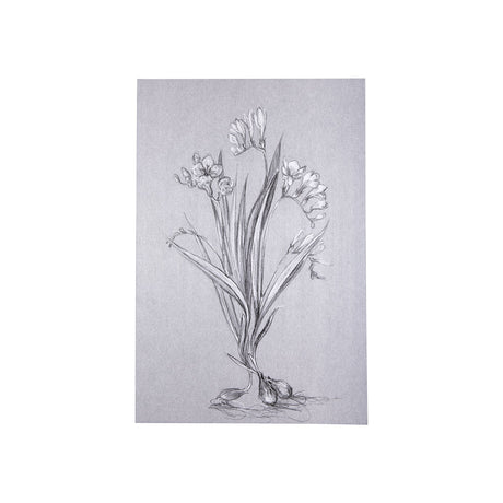 Botanical sketches III (Grey) by Mercana Studio a Hand Embellished Textured Canvas by Mercana at Eve Furniture