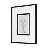 Botanical sketches III (Grey) by Mercana Studio Hand Embellished Framed Art Print Matted under Glass by Mercana at Eve Furniture