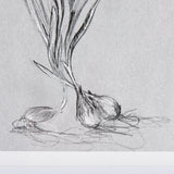 Botanical sketches III (Grey) by Mercana Studio Hand Embellished Framed Art Print Matted under Glass by Mercana at Eve Furniture