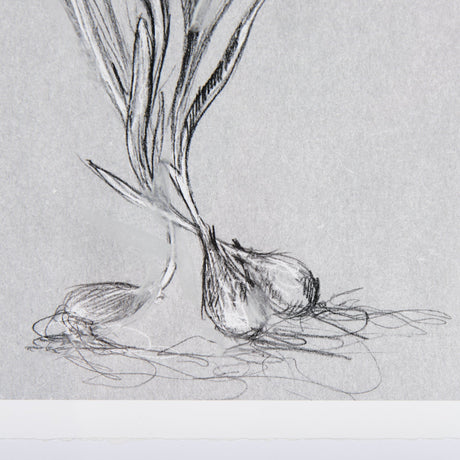 Botanical sketches III (Grey) by Mercana Studio Hand Embellished Framed Art Print Matted under Glass by Mercana at Eve Furniture
