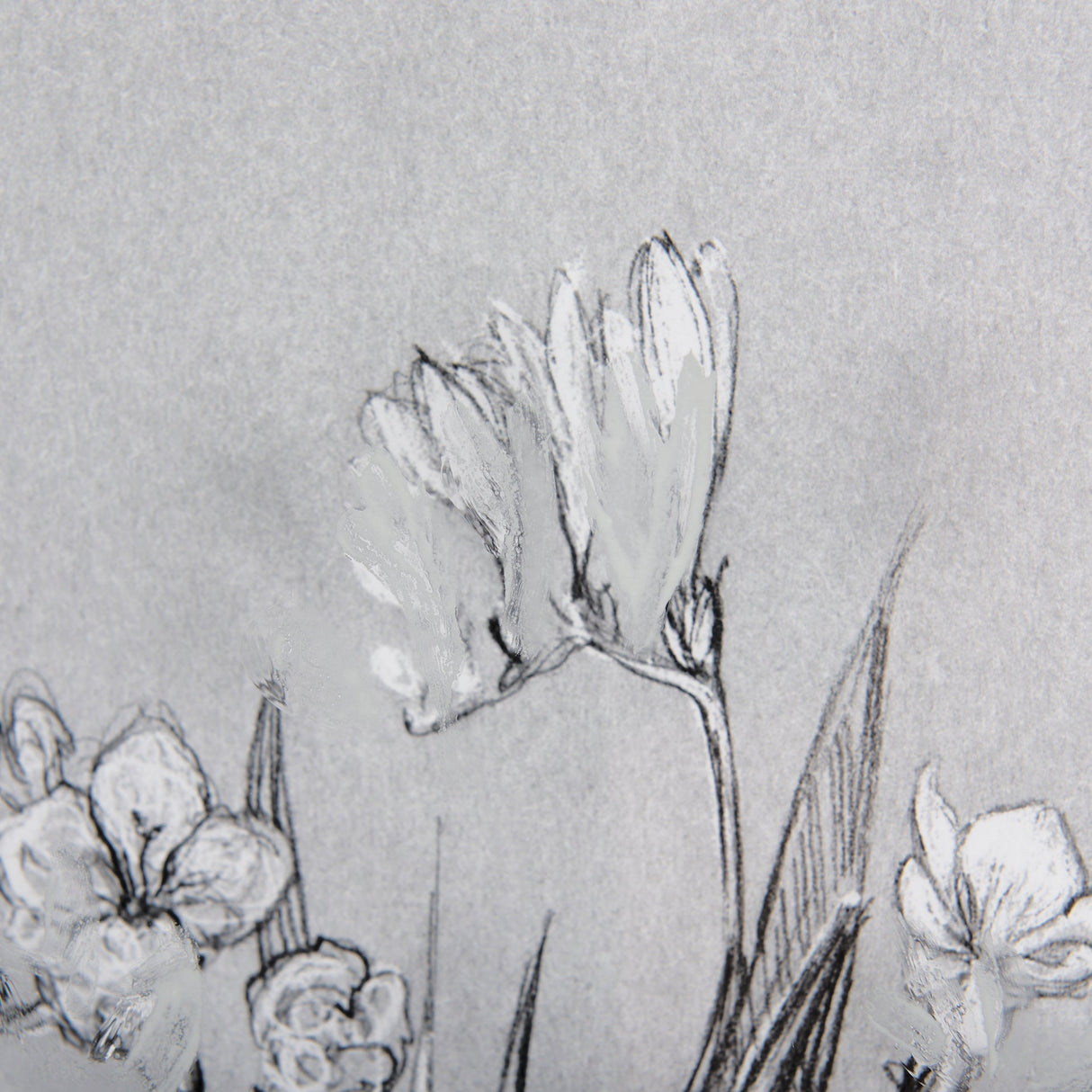 Botanical sketches III (Grey) by Mercana Studio Hand Embellished Framed Art Print Matted under Glass by Mercana at Eve Furniture