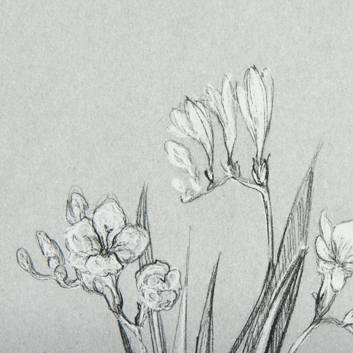 Botanical sketches III (Grey) by Mercana Studio Hand Embellished Framed Art Print Matted under Glass by Mercana at Eve Furniture
