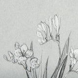 Botanical sketches III (Grey) by Mercana Studio Hand Embellished Framed Art Print Matted under Glass by Mercana at Eve Furniture