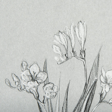 Botanical sketches III (Grey) by Mercana Studio Hand Embellished Framed Art Print Matted under Glass by Mercana at Eve Furniture