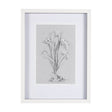 Botanical sketches III (Grey) by Mercana Studio Hand Embellished Framed Art Print Matted under Glass by Mercana at Eve Furniture