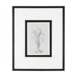 Botanical sketches III (Grey) by Mercana Studio Hand Embellished Framed Art Print Matted under Glass by Mercana at Eve Furniture