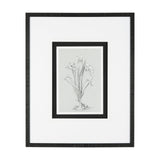 Botanical sketches III (Grey) by Mercana Studio Hand Embellished Framed Art Print Matted under Glass by Mercana at Eve Furniture
