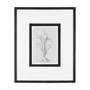 Botanical sketches III (Grey) by Mercana Studio Hand Embellished Framed Art Print Matted under Glass by Mercana at Eve Furniture