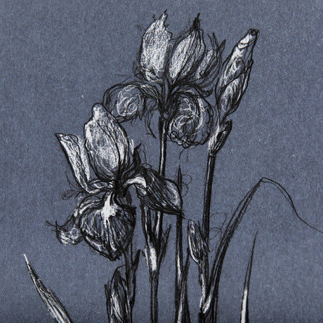 Botanical sketches IV (Blue) by Mercana Studio Hand Embellished Framed Art Print Matted under Glass by Mercana at Eve Furniture