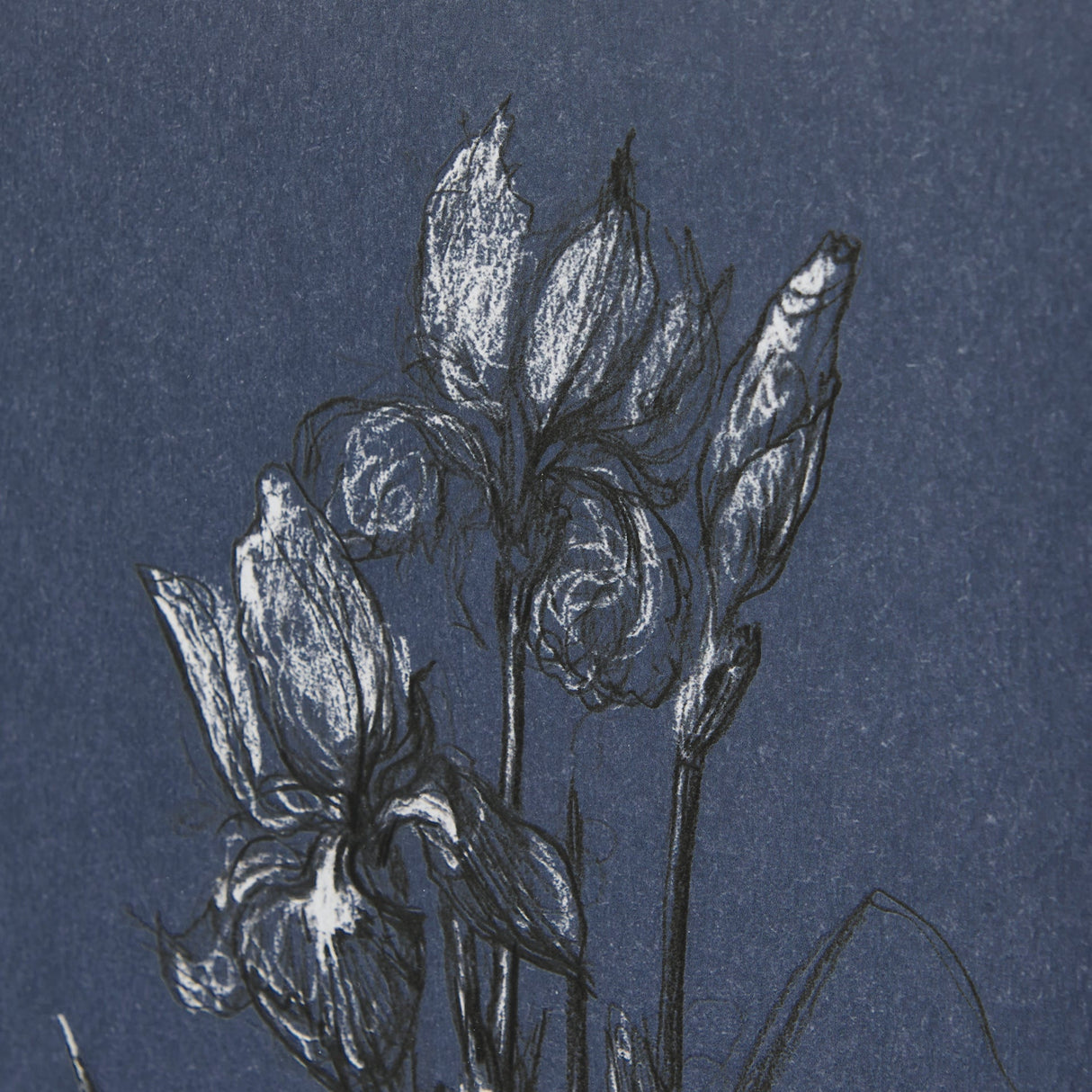 Botanical sketches IV (Blue) by Mercana Studio Hand Embellished Framed Art Print Matted under Glass by Mercana at Eve Furniture