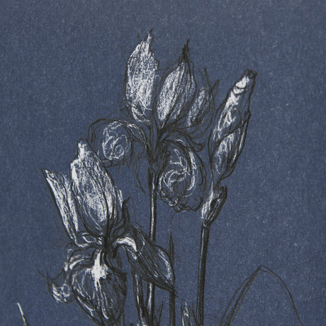 Botanical sketches IV (Blue) by Mercana Studio Hand Embellished Framed Art Print Matted under Glass by Mercana at Eve Furniture