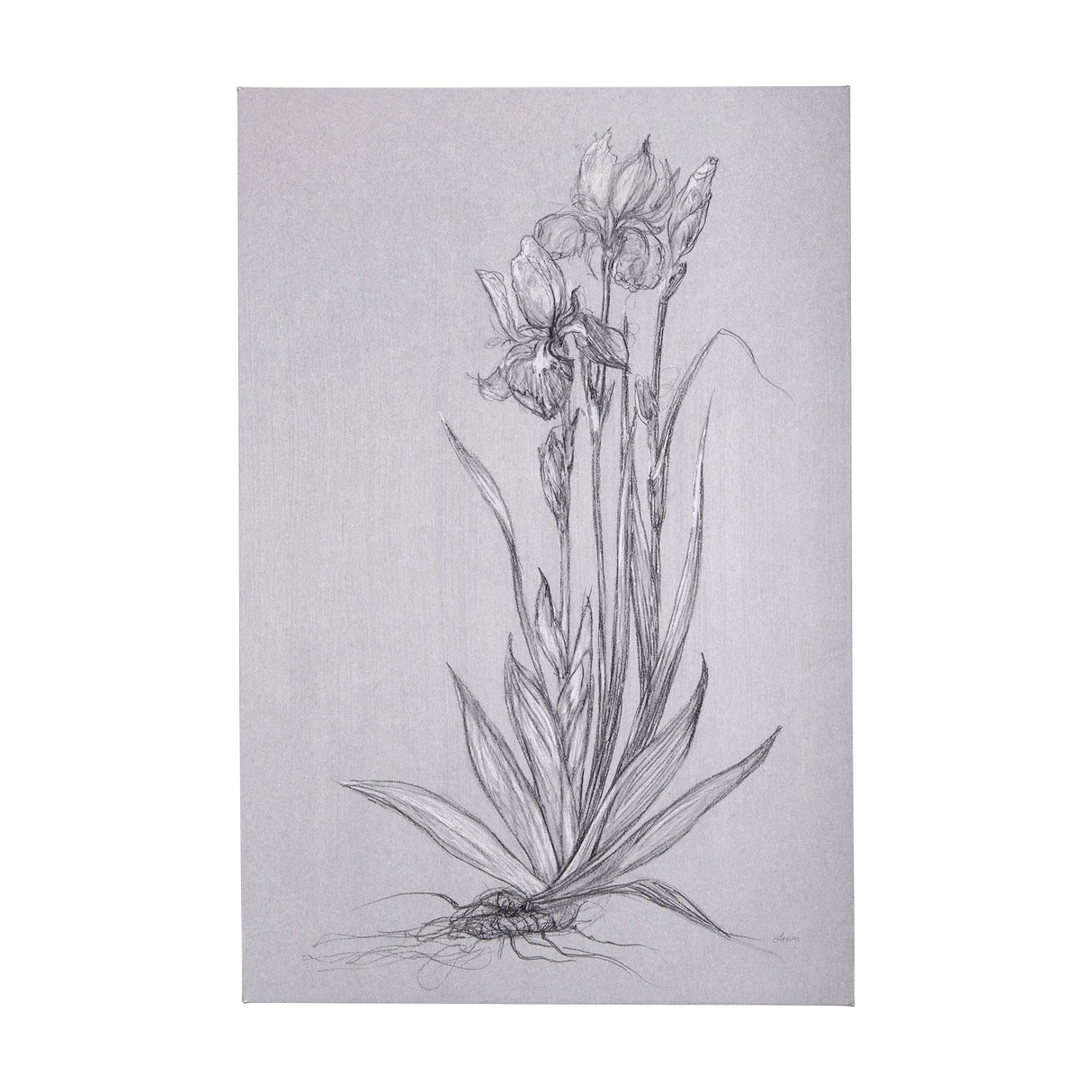 Botanical sketches IV (Grey) by Mercana Studio a Hand Embellished Textured Canvas by Mercana at Eve Furniture