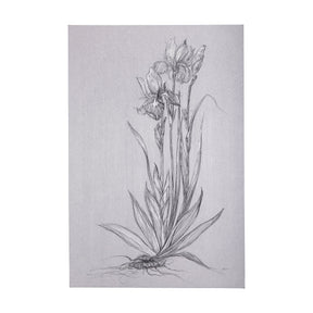 Botanical sketches IV (Grey) by Mercana Studio a Hand Embellished Textured Canvas by Mercana at Eve Furniture