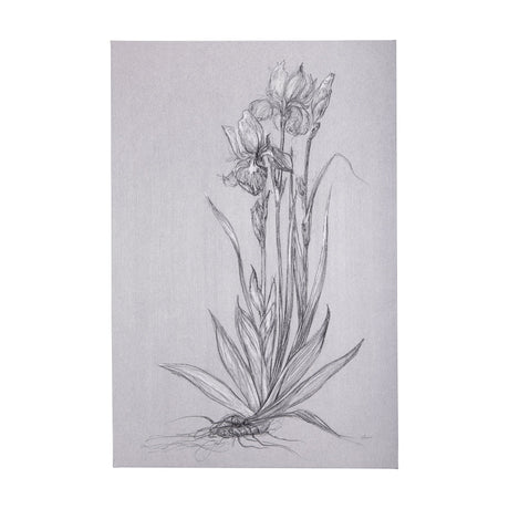 Botanical sketches IV (Grey) by Mercana Studio a Hand Embellished Textured Canvas by Mercana at Eve Furniture