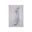Botanical sketches IV (Grey) by Mercana Studio a Hand Embellished Textured Canvas by Mercana at Eve Furniture